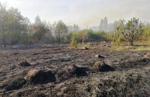 Пожежі охопили Житомирську область: рятувальники закликають не спалювати суху траву і листя