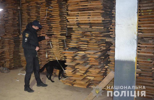 Розслідуючи вбивство на Житомирщині, поліцейські знайшли підпільну пилораму. ФОТО