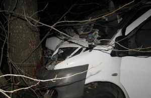 У Житомирській області Mercedes протаранив дерево: водій загинув, четверо дітей у лікарні