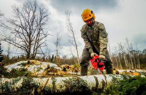 У Житомирській області дерево впало на чоловіка, від отриманих травм він загинув