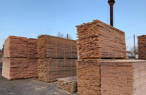 Поліція і СБУ проводять обшуки на лісопереробних підприємствах Житомирщини