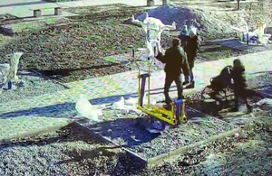У Житомирі за фактом побиття жінки на Малікова поліцейські відкрили кримінальне провадження