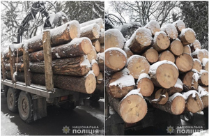 У Житомирській області поліція затримала вантажівки, на яких перевозили крадений ліс