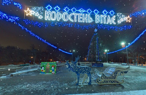 Житомирян запрошують прогулятися біля новорічних ялинок області, не виходячи з дому
