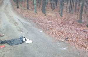 У лісі на Житомирщині знайшли труп чоловіка: вбивцею виявився 19-річний хлопець