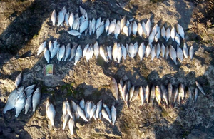 На Житомирщині спіймали браконьєрів, які ловили рибу за допомогою вибухівки