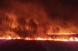 Більше 60 пожеж за добу! Рятувальники закликають жителів області не спалювати суху траву