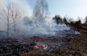 У селі під Житомиром в траві виявили обгорілий труп чоловіка
