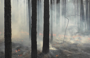У Житомирській області четверту добу гасять пожежу