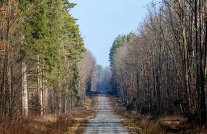 З 1 квітня в лісах Житомирщини стартував «сезон тиші»: що заборонено