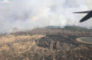 Масштабна лісова пожежа на Житомирщині: до гасіння залучили авіацію