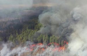 Жителям Житомира та області рекомендують не виходити на вулицю через пожежі в Чорнобильській зоні