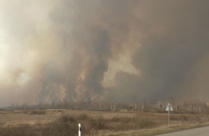 У Житомирській області вдалося локалізувати всі великі лісові пожежі