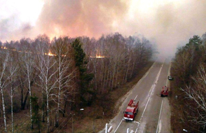 Чоловіки, які влаштували масштабну пожежу в Житомирській області, зізналися ще в одному підпалі