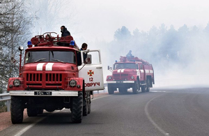 Названі дві версії виникнення пожеж у лісах на Житомирщині. ФОТО