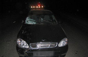У Житомирській області на неосвітленій дорозі водій на смерть збив пішохода