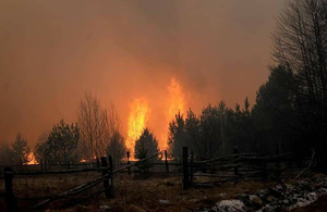 Пожежі на півночі Житомирської області вдалося взяти під контроль. ВІДЕО