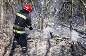 Під Житомиром не вщухають пожежі: поки рятувальники гасили траву, невідомі влаштували ще один підпал
