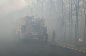 На півночі Житомирської області палають десятки гектарів лісів. ВІДЕО