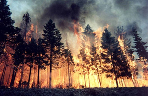 За 4 місяці на Житомирщині сталося стільки ж пожеж, як за весь минулий рік