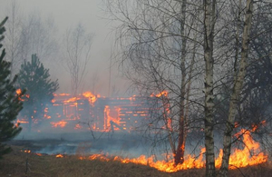 Названа ймовірна причина масштабних пожеж у Житомирській області