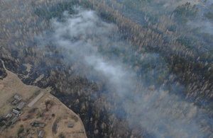 На півночі області знову виникла лісова пожежа: вітер несе дим на Житомир