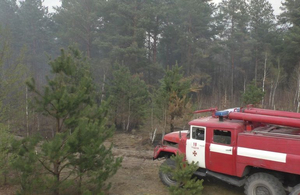 Інформація щодо ліквідації лісових пожеж на Житомирщині: відкритого вогню немає