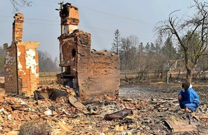 Лісові пожежі на Житомирщині: стало відомо, що не всі постраждалі отримають нове житло від держави