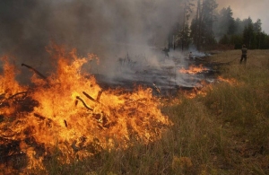 Жителів Житомирщини попереджають про надзвичайну пожежну небезпеку
