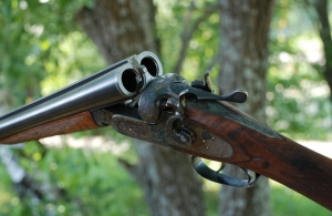 Трагедія у Житомирській області: підліток взяв рушницю у батька і застрелився