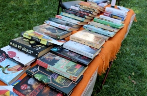 Книги та свіже повітря: у житомирському Гідропарку відкрили «Літню бібліотеку». ФОТО