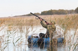 8 серпня у Житомирській області стартує сезон полювання на пернату дичину