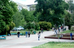 Реконструкція Нового бульвару: у середмісті Житомира планують зрізати понад 50 дерев