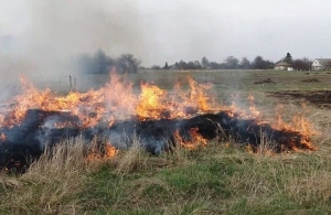 На Житомирщині пенсіонерка з сином вирішили спалити сухостій і ледь не загинули. ВІДЕО