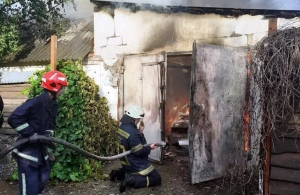 Пожежа у Житомирі: вогонь знищив гараж і автомобіль, що знаходився в середині. ФОТО