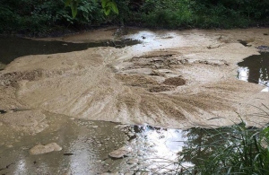 Річку у Житомирі забруднили невідомою речовиною коричневого кольору. ФОТО