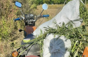 Житель Житомирщини перевозив в мотоциклі 50 кг коноплі і попався на очі поліції. ФОТО