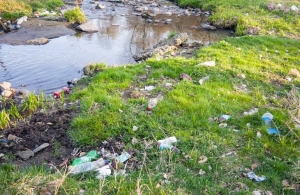 Містян запрошують долучитися до прибирання берегів житомирських річок