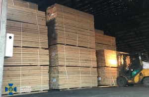Житомирську деревину незаконно продавали в Азію: викрито багатомільйонну схему
