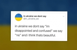 Автором популярного мему «In Ukraine we dont say» виявилась уродженка Житомирщини