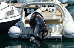 Поліція затримала банду з Житомирської області, що викрадала двигуни від човнів