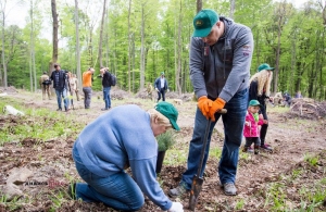 Завтра на Житомирщині проведуть «зелену» акцію – висадять 200 тисяч дерев