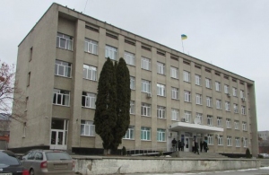 Які партії пройшли до районних рад Житомирської області: попередні результати