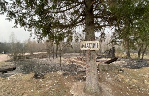 Лісові пожежі на Житомирщині: 12 постраждалих сімей отримали по 300 тис. грн