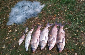 Грубі порушення правил рибальства: у Житомирській області за добу затримали 8 браконьєрів