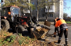 На вулицях Житомира почали прибирати опале листя. ФОТО