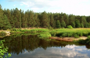 У Житомирській області можуть розширити межі заповідника «Древлянський»