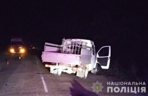Йшов по краю дороги: на півночі Житомирщини на смерть збили пішохода