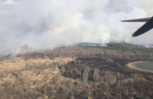 Після масштабних пожеж Житомирська область закупила техніку і створює систему охорони лісів