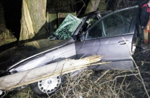 У Житомирській області водій BMW в'їхав у дерево: дві людини в лікарні